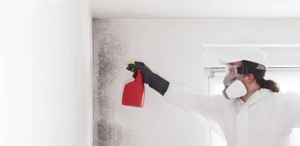 Best Crawl Space Mold Remediation in Manville, NJ