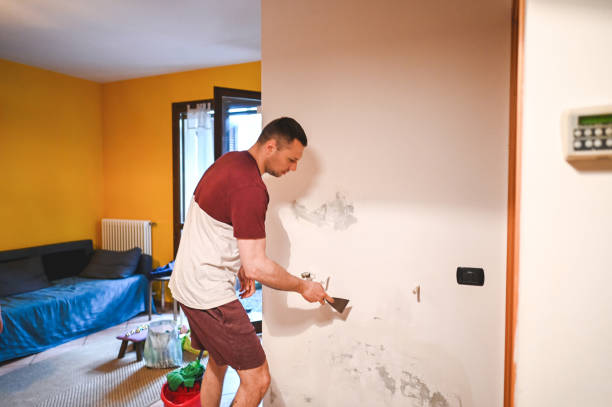 Best Residential Mold Remediation in Manville, NJ